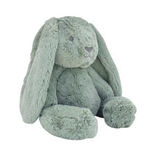 Load image into Gallery viewer, O.B. DESIGNS Sage Bunny - Beau Bunny Huggie
